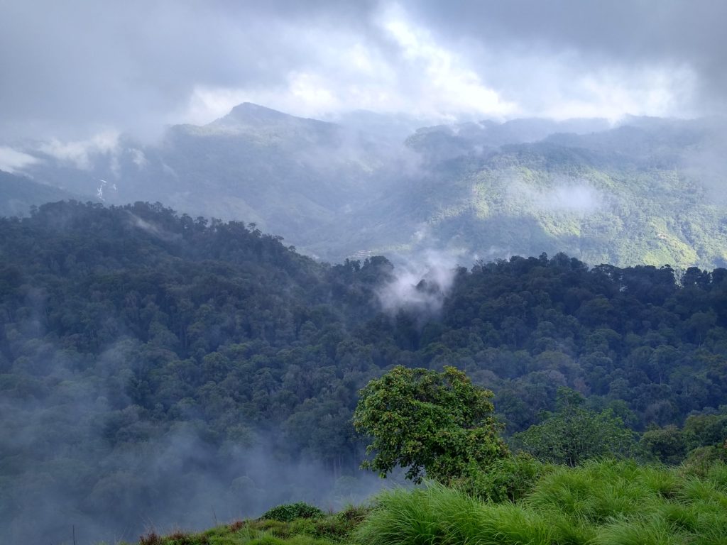 Nallamudi, in Valparai, without the hornbills